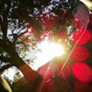 Meet your Posher, Spencer